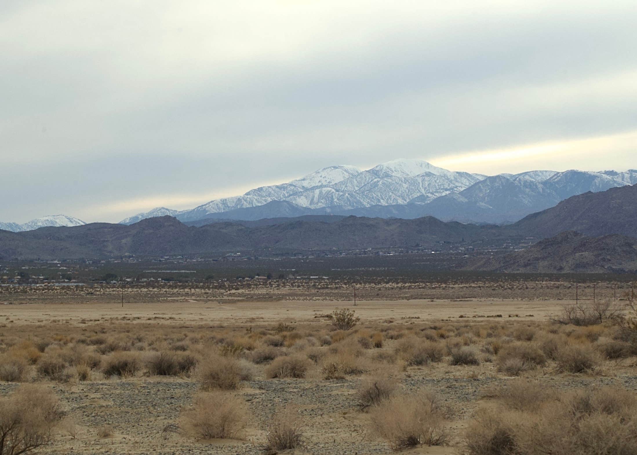 BLM Dispersed Camping at Joshua Tree Camping The Dyrt