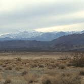 Review photo of BLM Dispersed Camping at Joshua Tree by Ashley  C., June 30, 2023