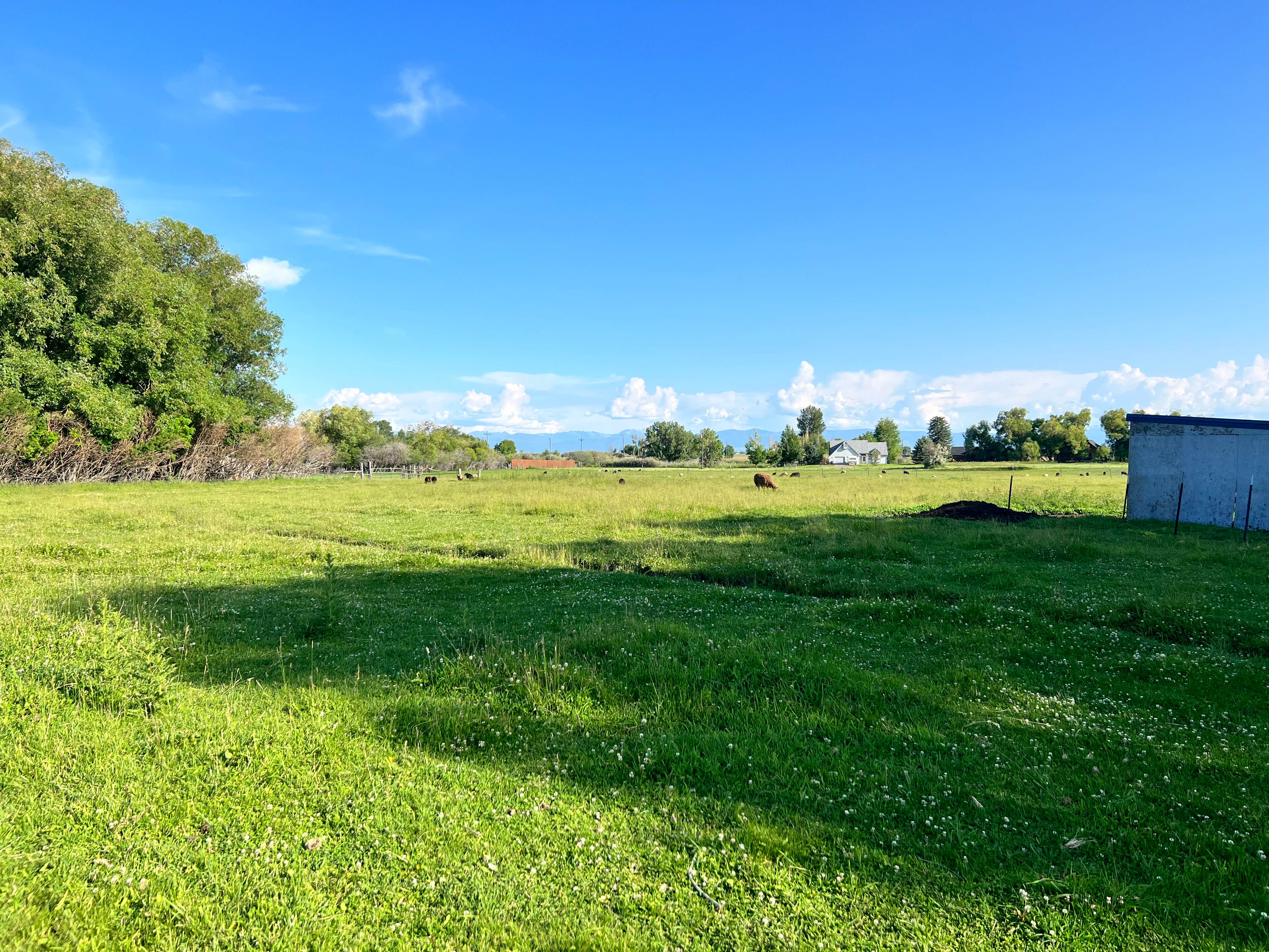 Camper submitted image from Serenity Sheep Farm Stay - 4