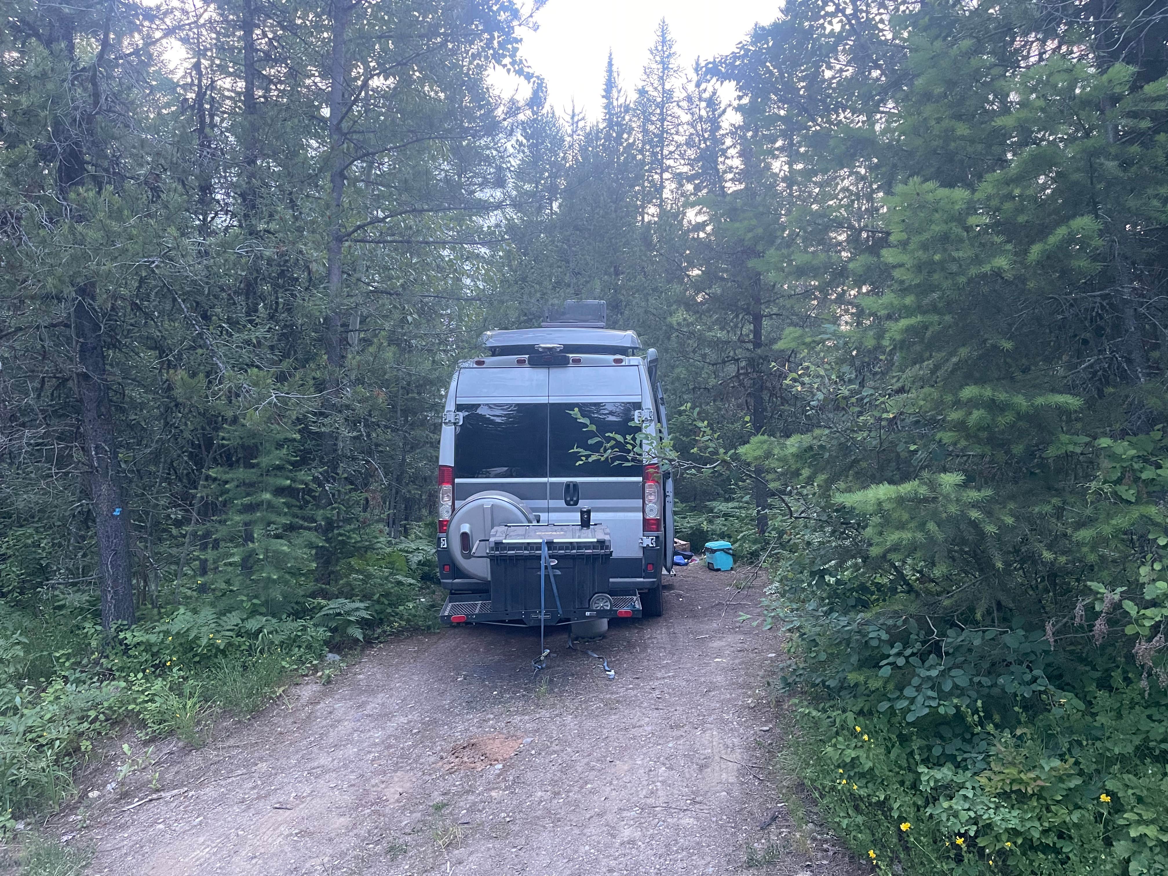 Camper submitted image from Ryan Road Dispersed Camping  - 4
