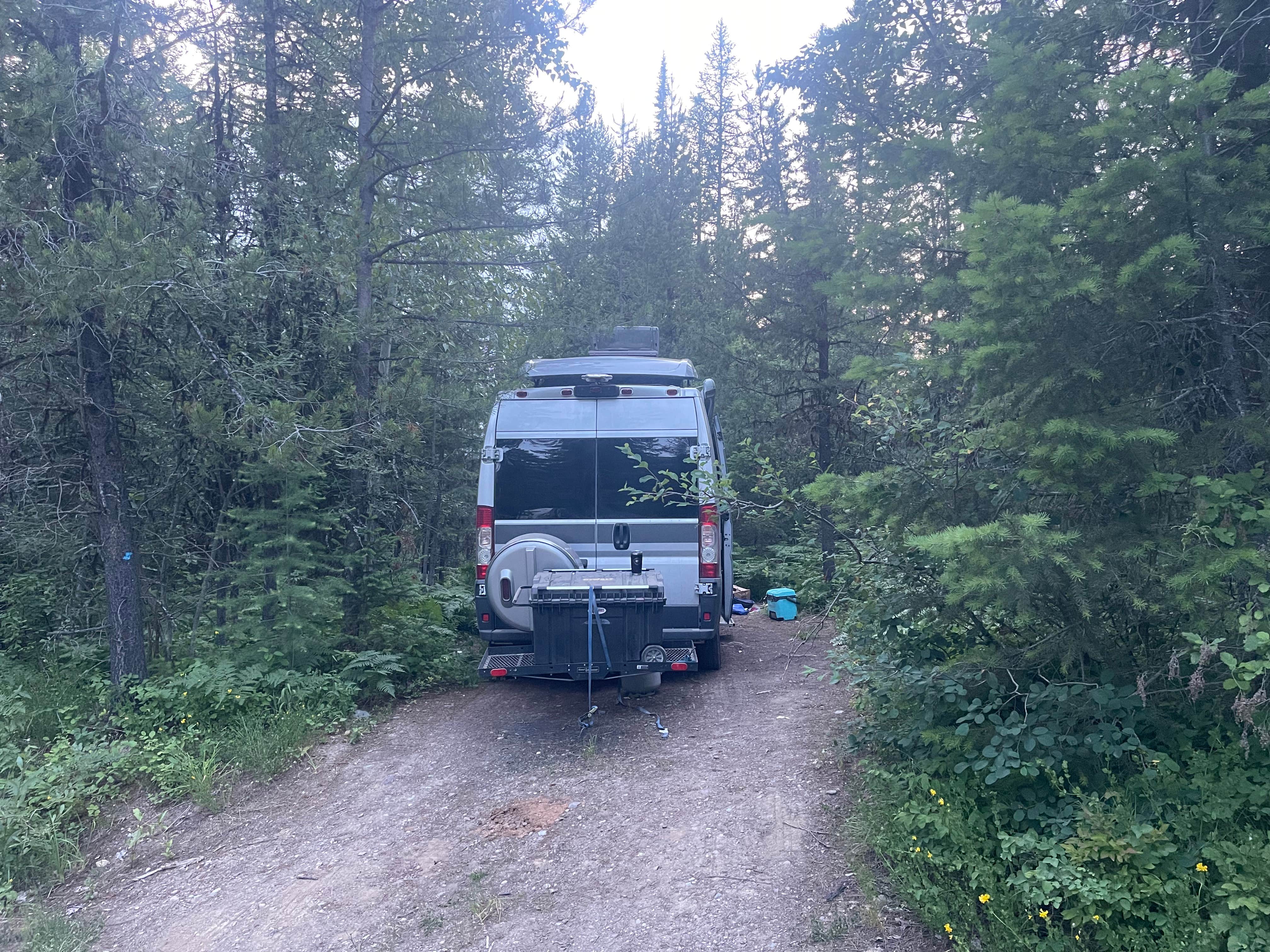 Camper submitted image from Ryan Road Dispersed Camping - 5