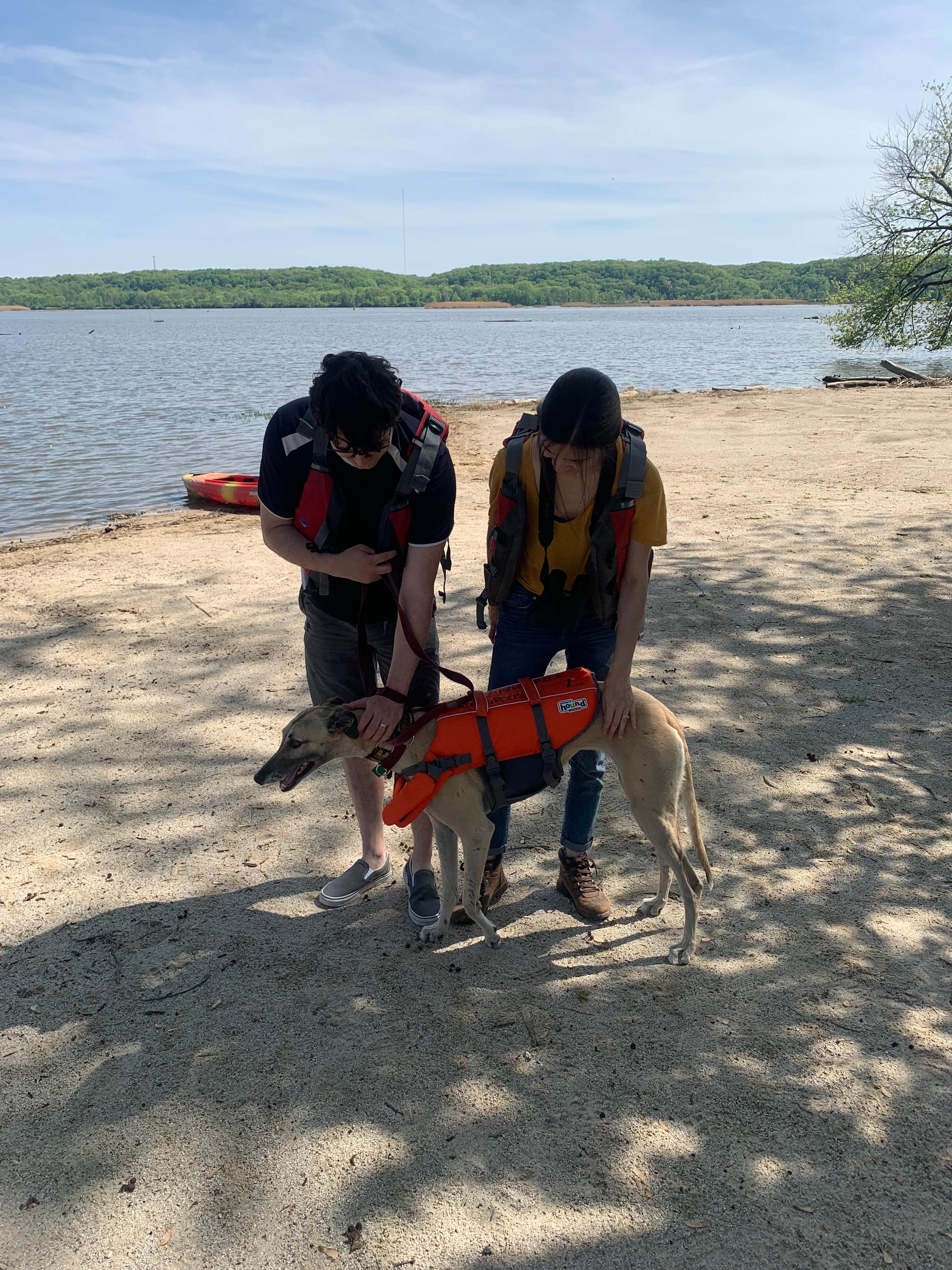 Tracy E.'s photo of camping with pets at Kayak Starved Rock Campground near Pontiac, IL