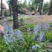 Review photo of Devil's Head Campground by Tee C., June 30, 2023