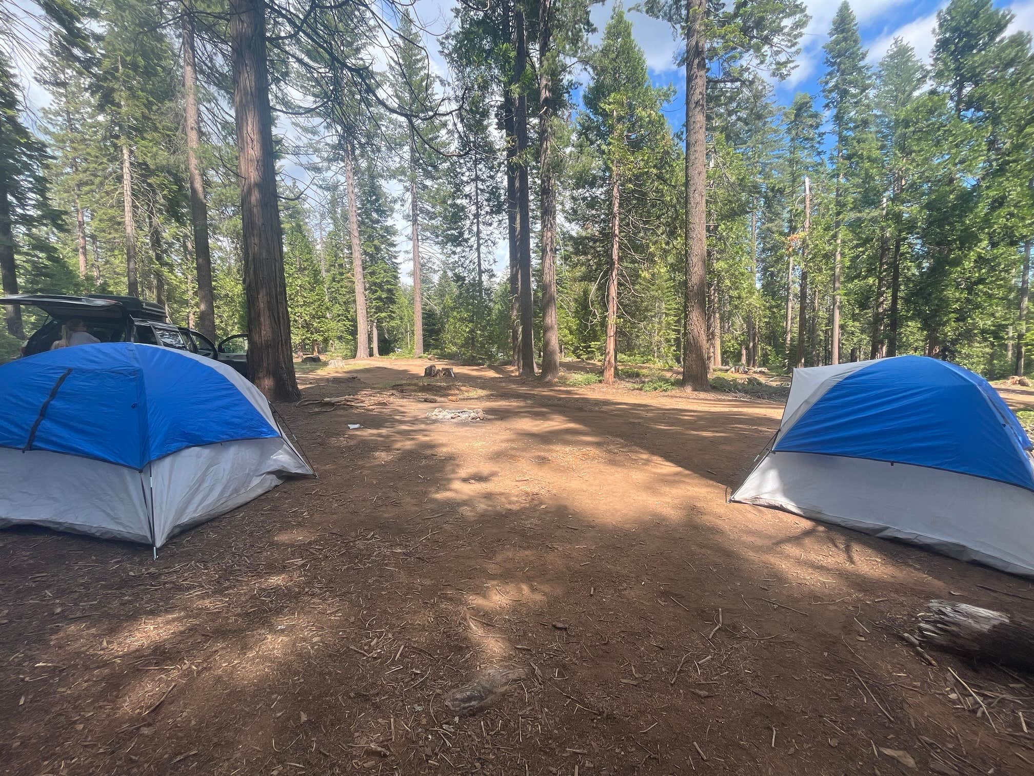 Mandi W.'s photo of camping with pets at Goat Meadow - Dispersed Camp Site near Yosemite Valley, CA