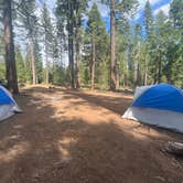 Review photo of Goat Meadow - Dispersed Camp Site by Mandi W., June 30, 2023