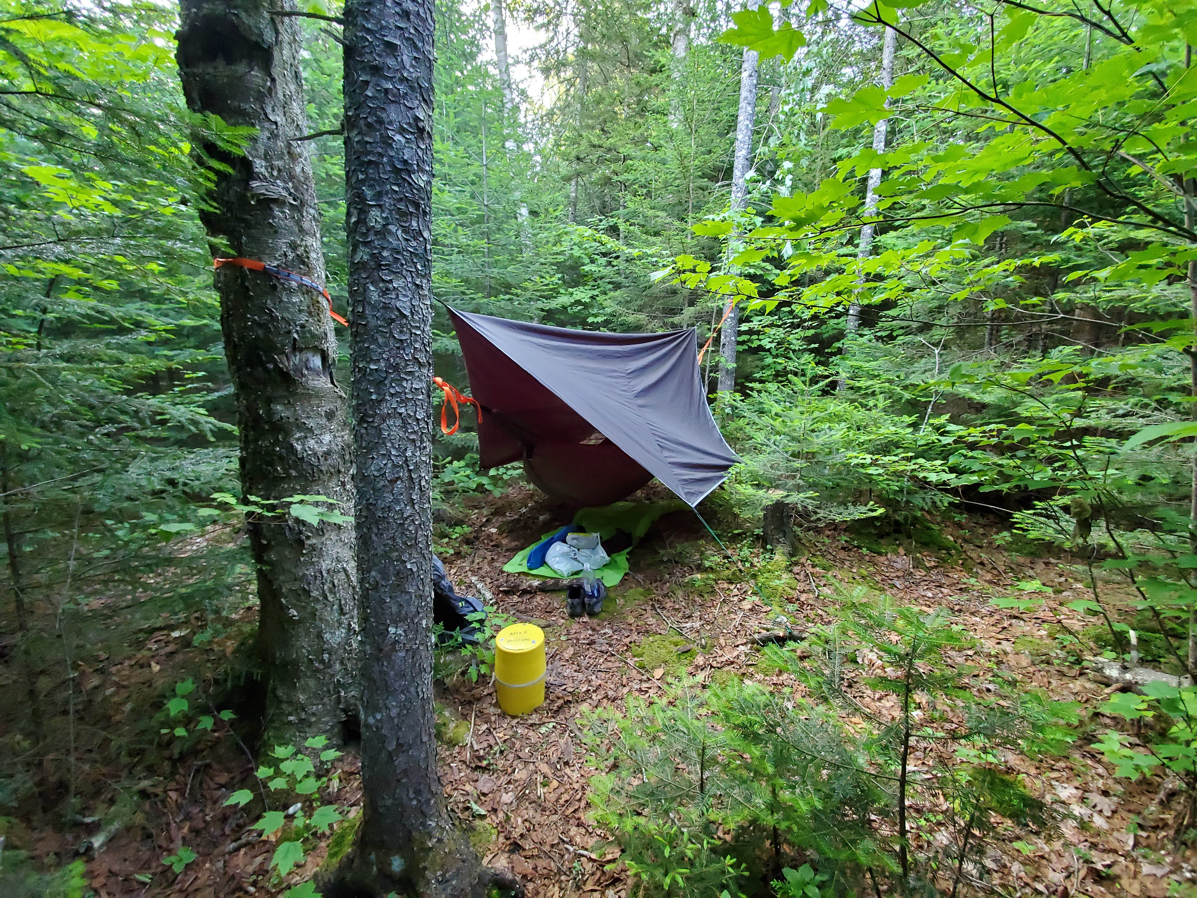 Camping near Lake Colden: Lillian brook campground, Keene Valley, New York