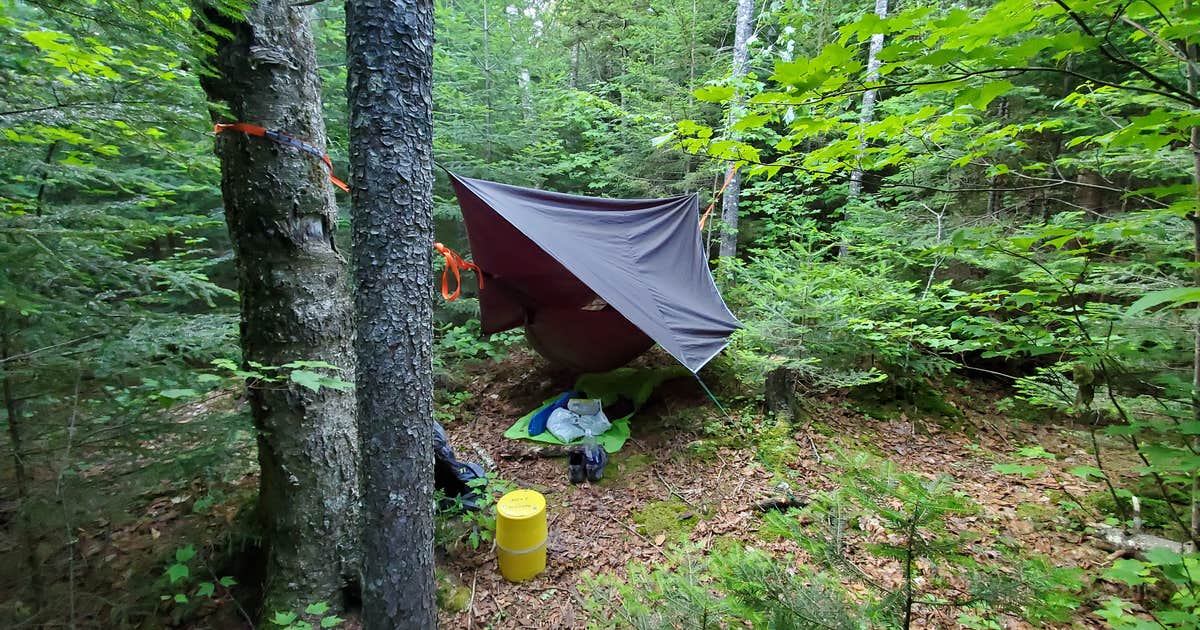 Lillian brook campground
