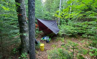 Alex R.'s photo of tent camping at Lillian brook campground near Rainbow Lake, NY