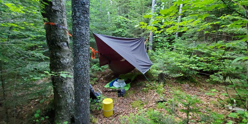 Camper submitted image from Lillian brook campground