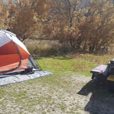 Review photo of Rainbow Park Campground — Dinosaur National Monument by Gina J., October 20, 2018