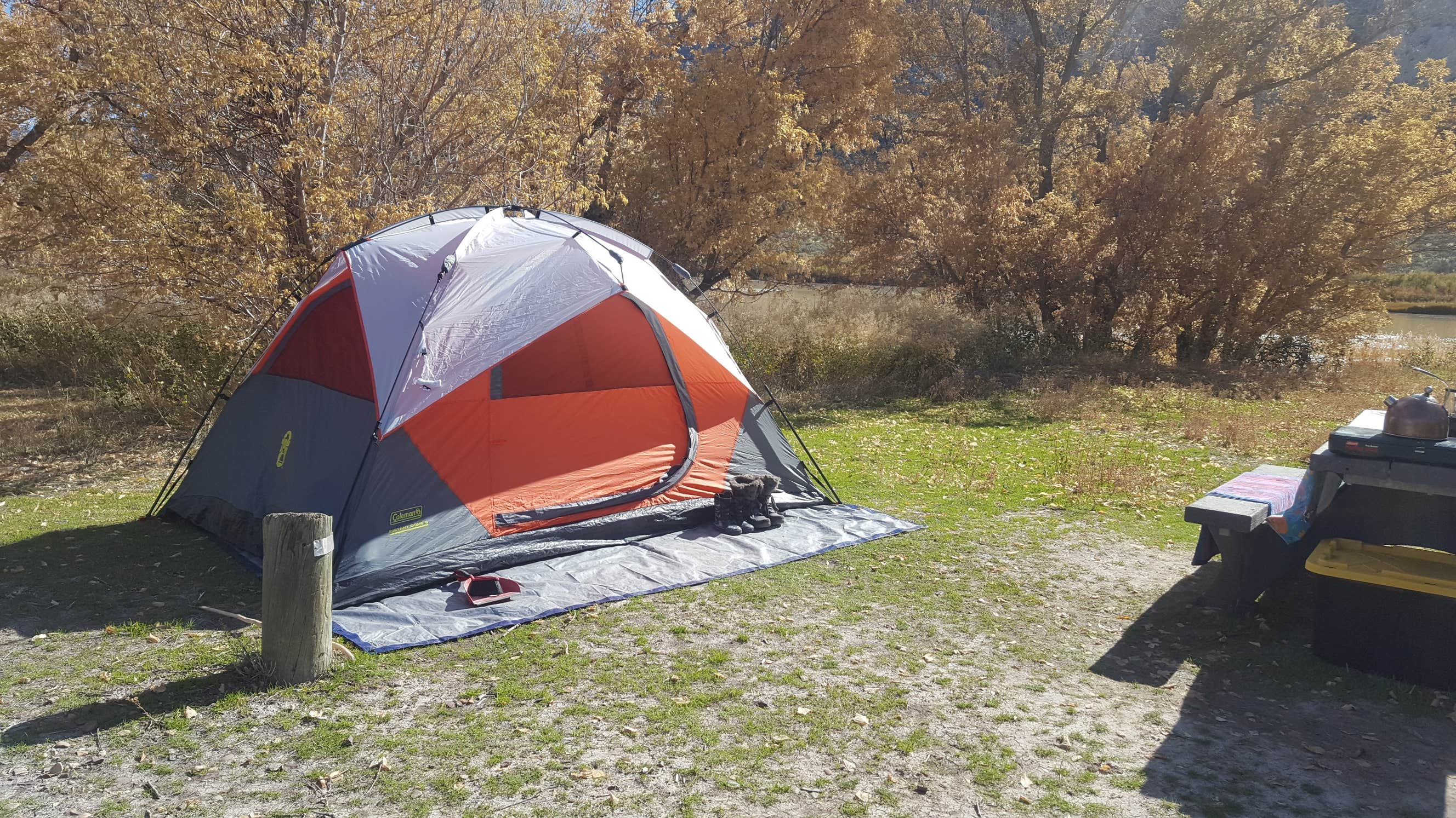 Camper submitted image from Rainbow Park Campground — Dinosaur National Monument - 5