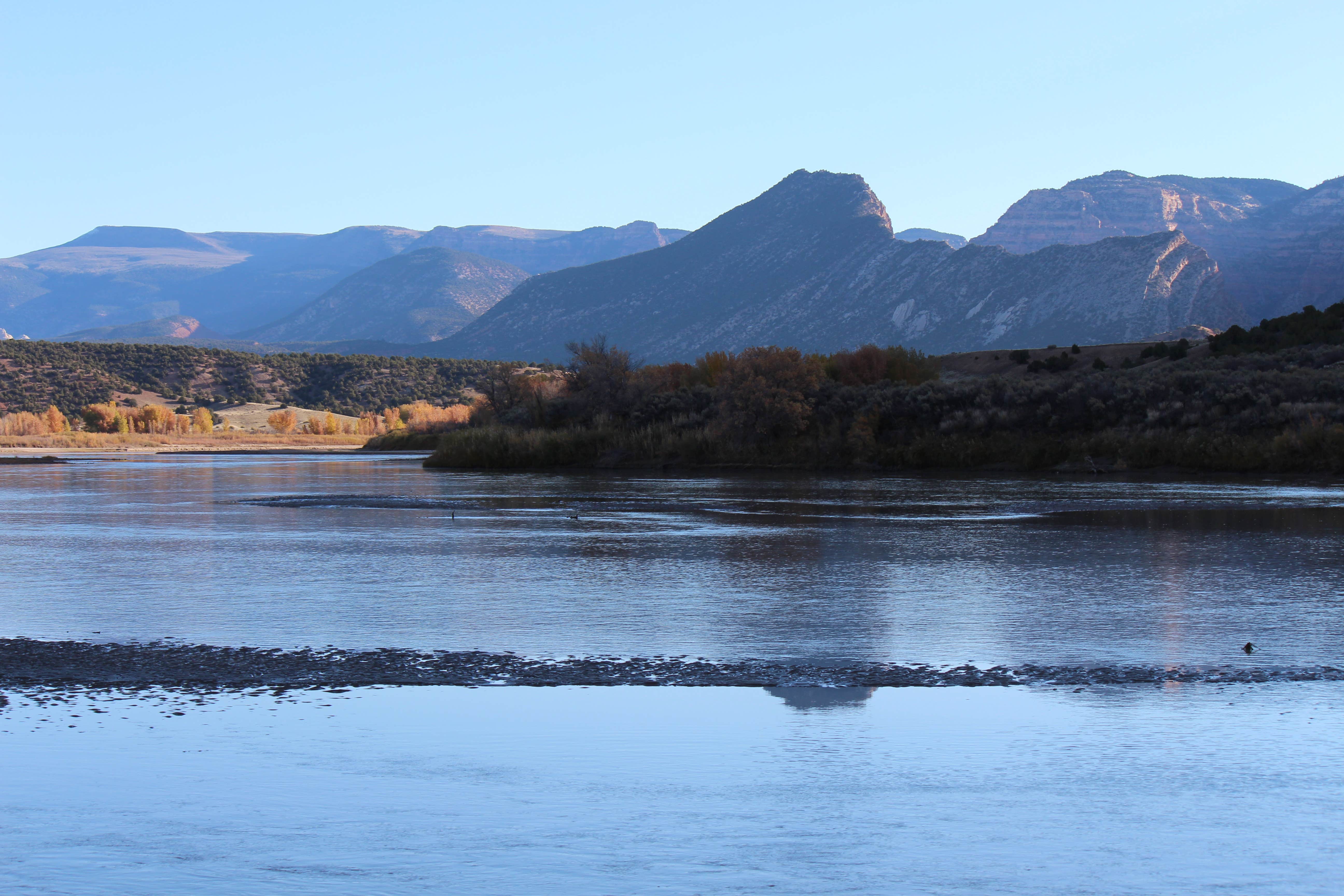 Camper submitted image from Rainbow Park Campground — Dinosaur National Monument - 3