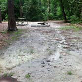 Review photo of Cliffs of the Neuse State Park Campground by Chip G., March 27, 2015