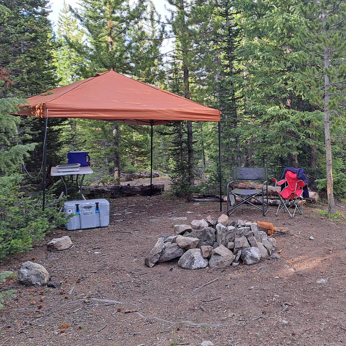 McCullough Gulch Designated Dispersed Camping Blue River, CO