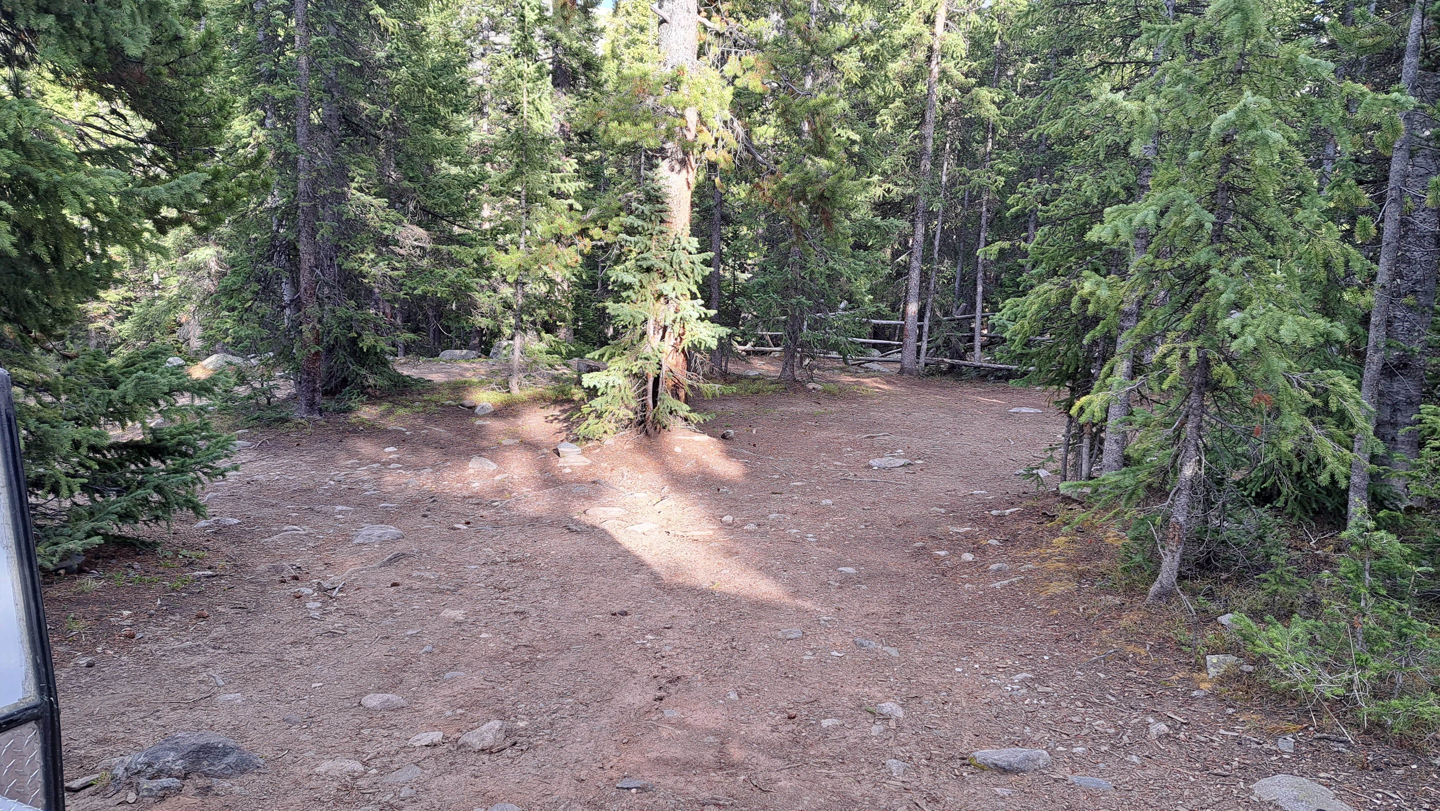 Camper submitted image from McCullough Gulch Designated Dispersed Camping - 5