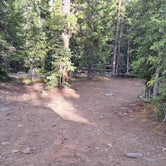 Review photo of McCullough Gulch Designated Dispersed Camping by Magambi .., June 30, 2023
