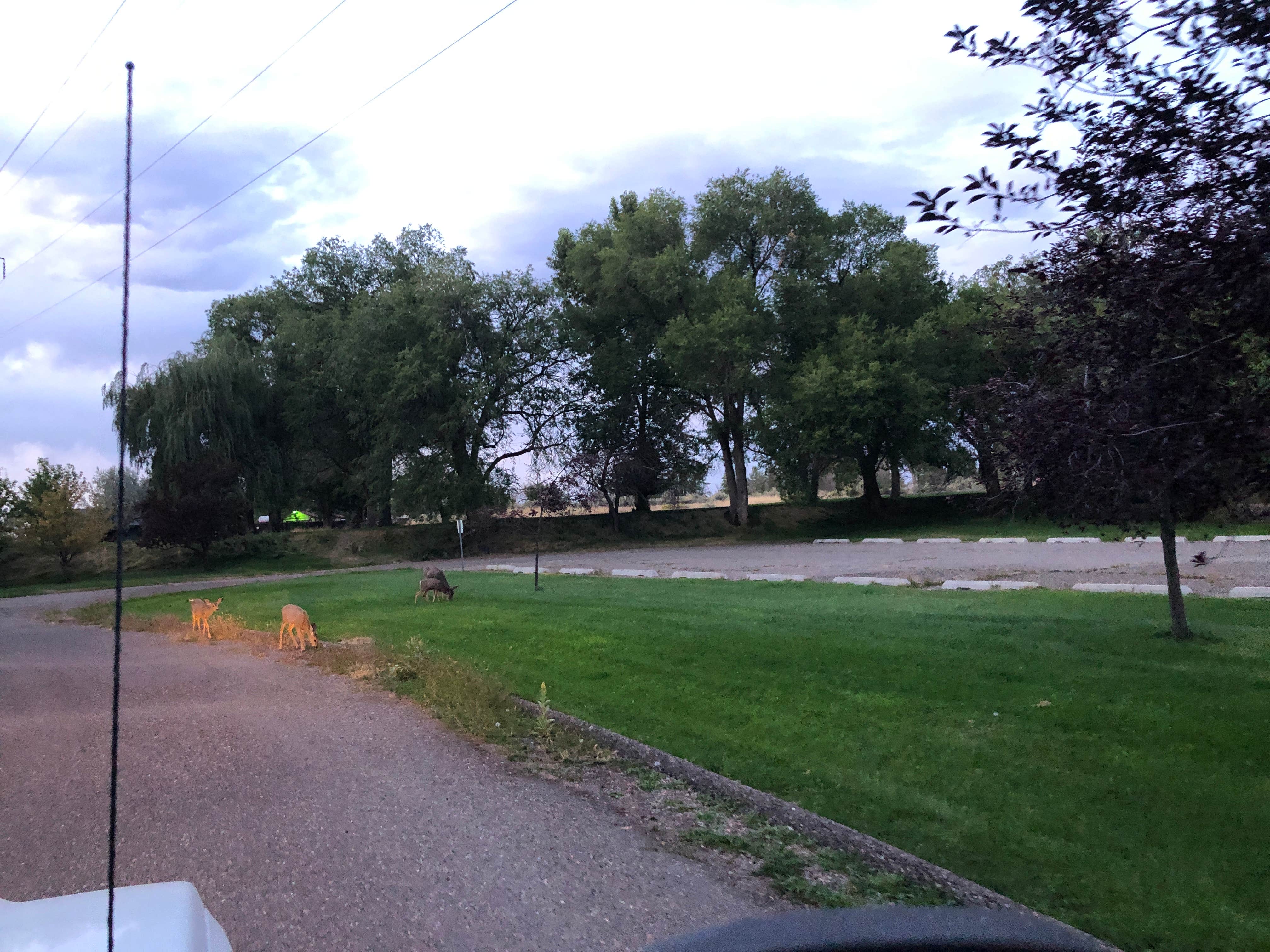 Camper submitted image from Lake Walcott State Park Campground - 3