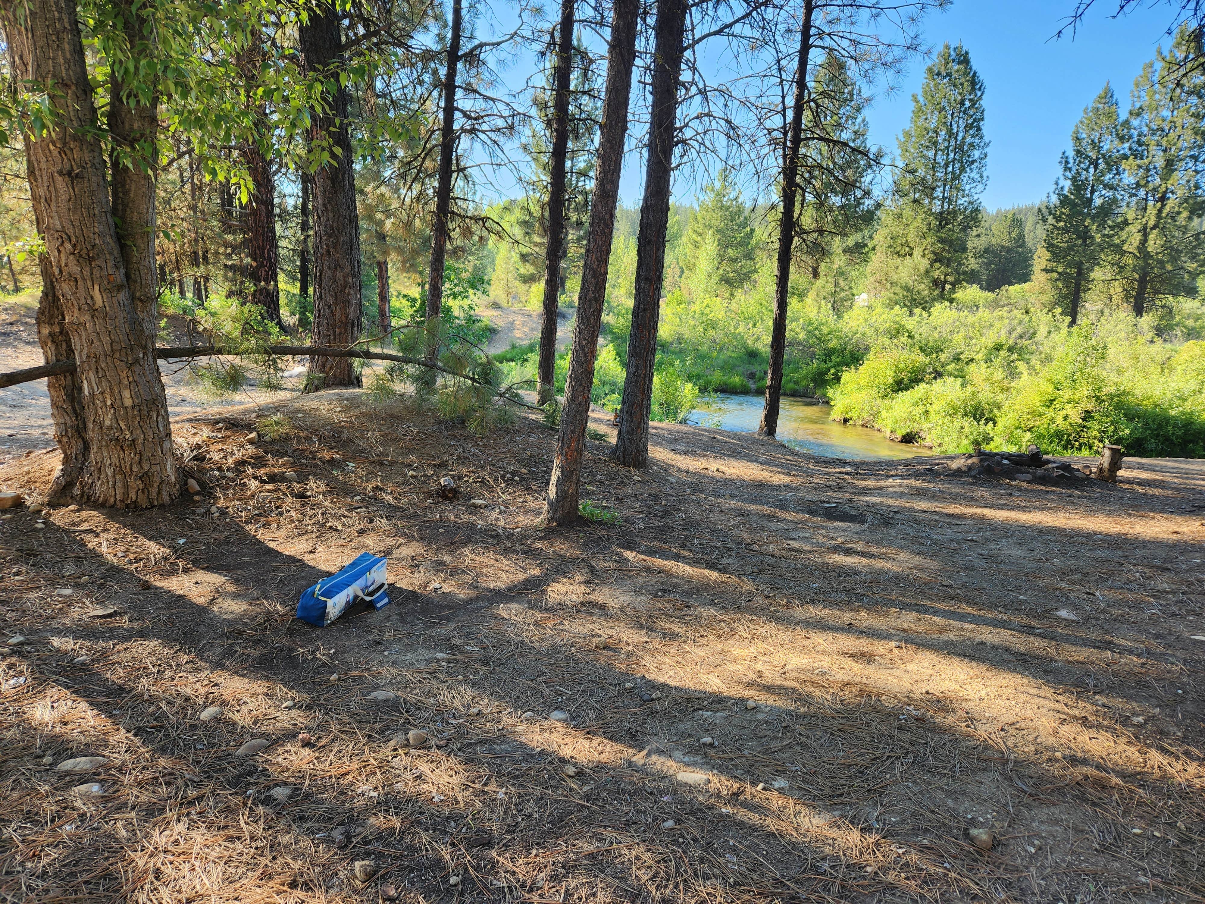 Camper submitted image from Mores Creek by Steamboat Gulch - 1