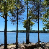 Review photo of New Hope Overlook Primitive Campground — Jordan Lake State Recreation Area by Stuart K., July 1, 2023