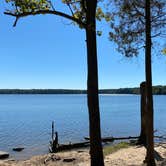 Review photo of New Hope Overlook Primitive Campground — Jordan Lake State Recreation Area by Stuart K., July 1, 2023