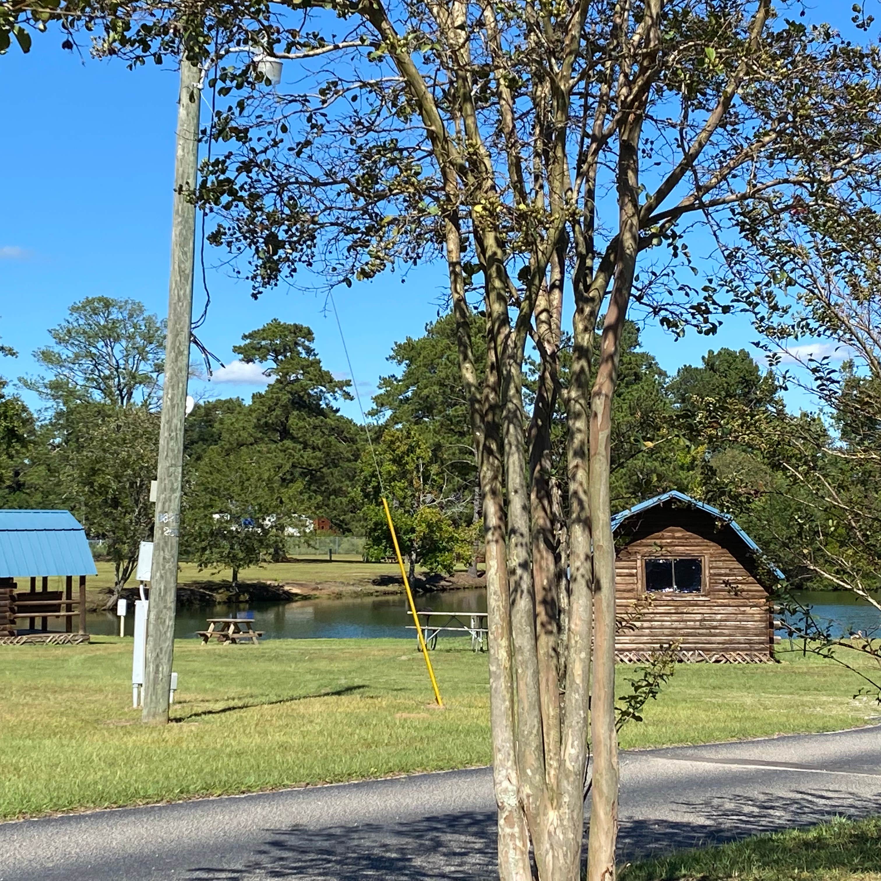 Florence RV Park Camping The Dyrt