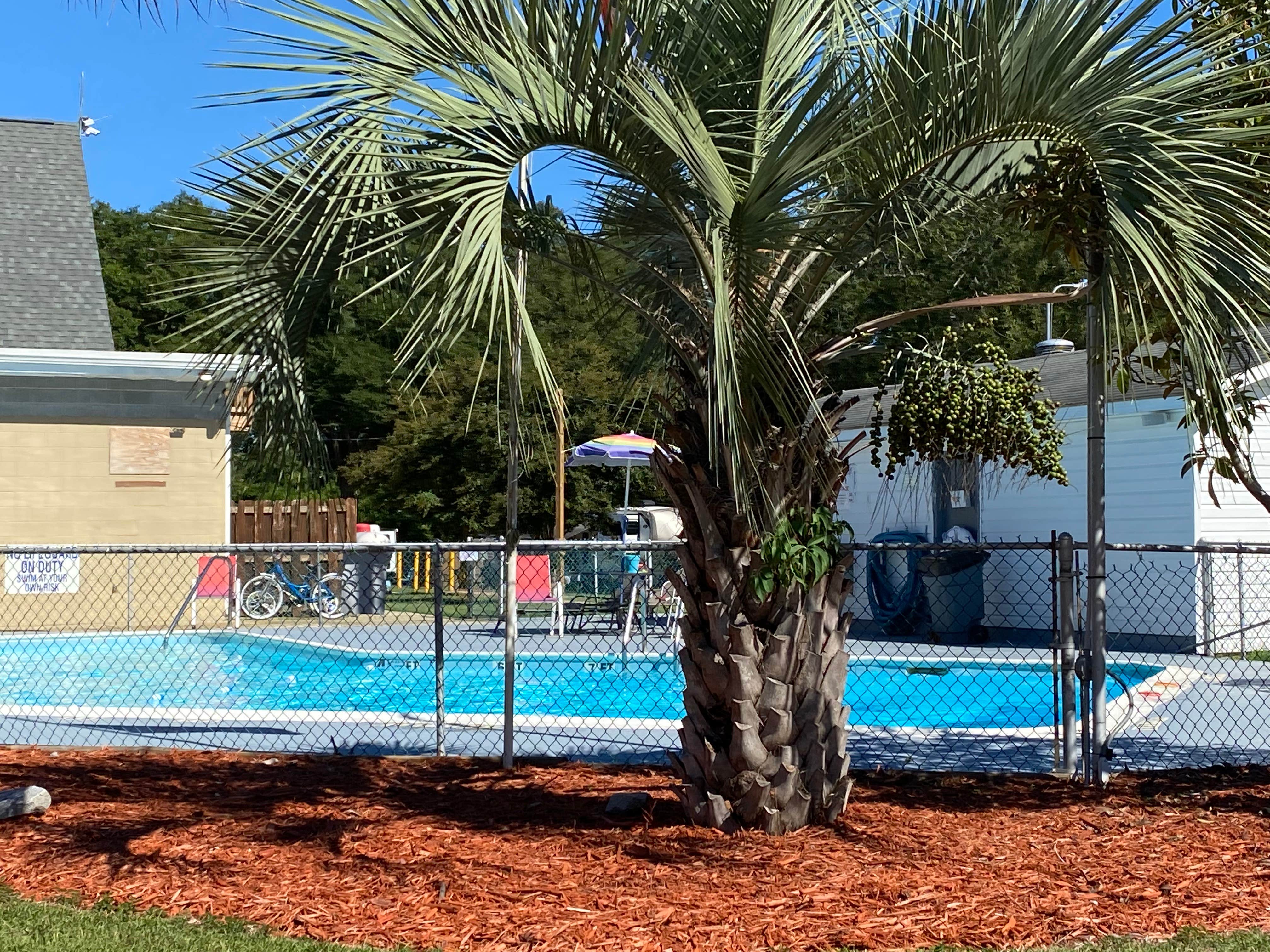 Camper-submitted photo at Florence RV Park near Darlington, SC