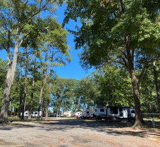 Camper-submitted photo from Florence RV Park