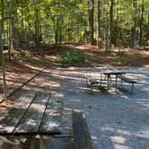 Review photo of Crosswinds Campground — Jordan Lake State Recreation Area by Stuart K., July 1, 2023