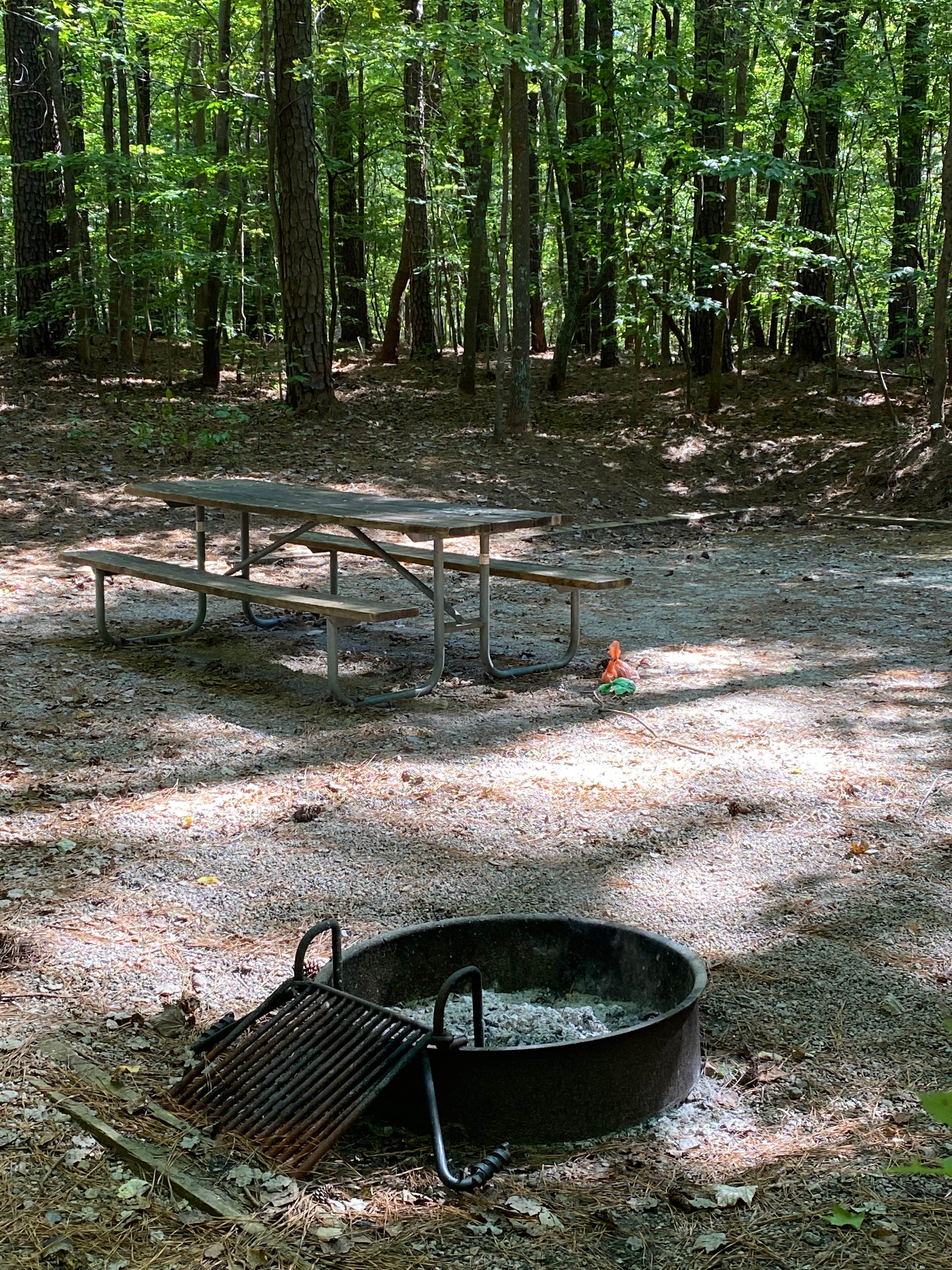 Stuart K.'s photo at Holly Point — Falls Lake State Recreation Area near Middlesex, NC