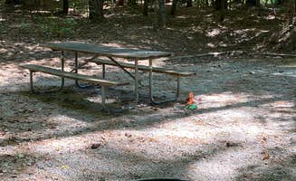Stuart K.'s photo at Holly Point — Falls Lake State Recreation Area near Bahama, NC