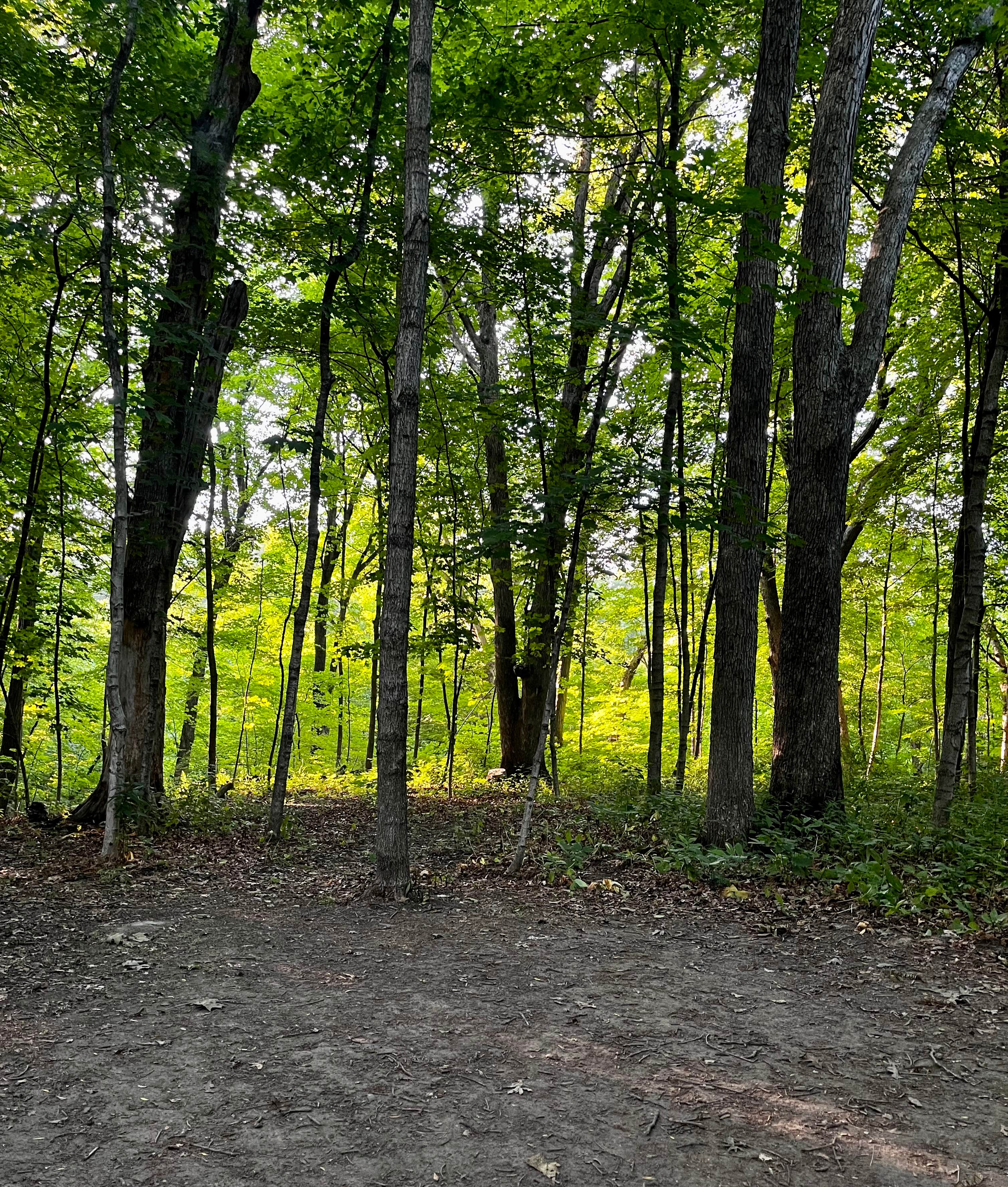 Camper submitted image from Starved Rock Family Campground - 3