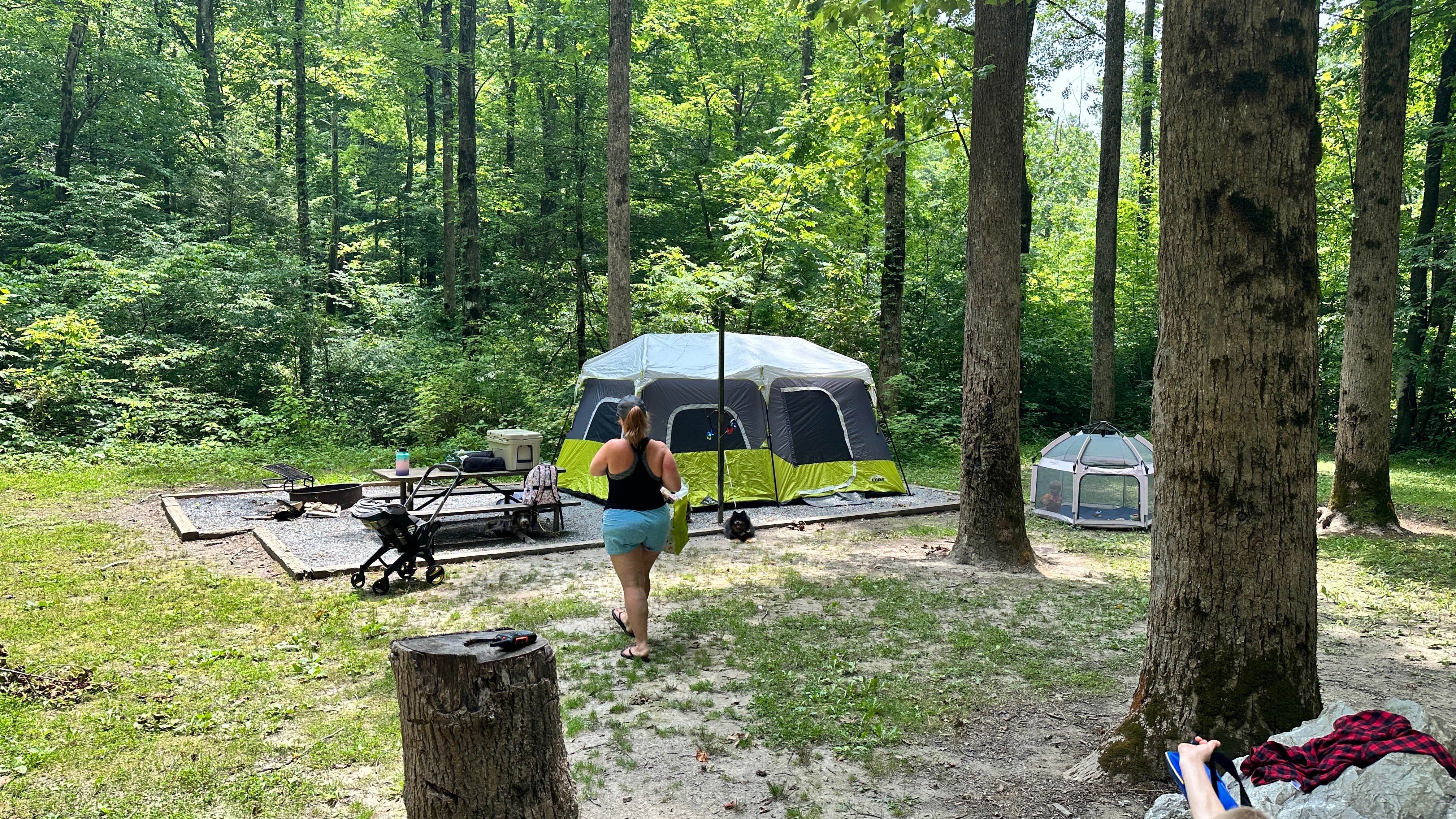 Patrick B.'s photo at Curtis Creek Campground near Montreat, NC