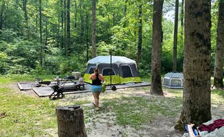 Patrick B.'s photo at Curtis Creek Campground near Montreat, NC