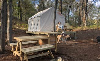 The Dyrt's photo of camping with pets at Tentrr Signature Site - 'Higher Ground' near Fahnestock State Park near New York City, NY