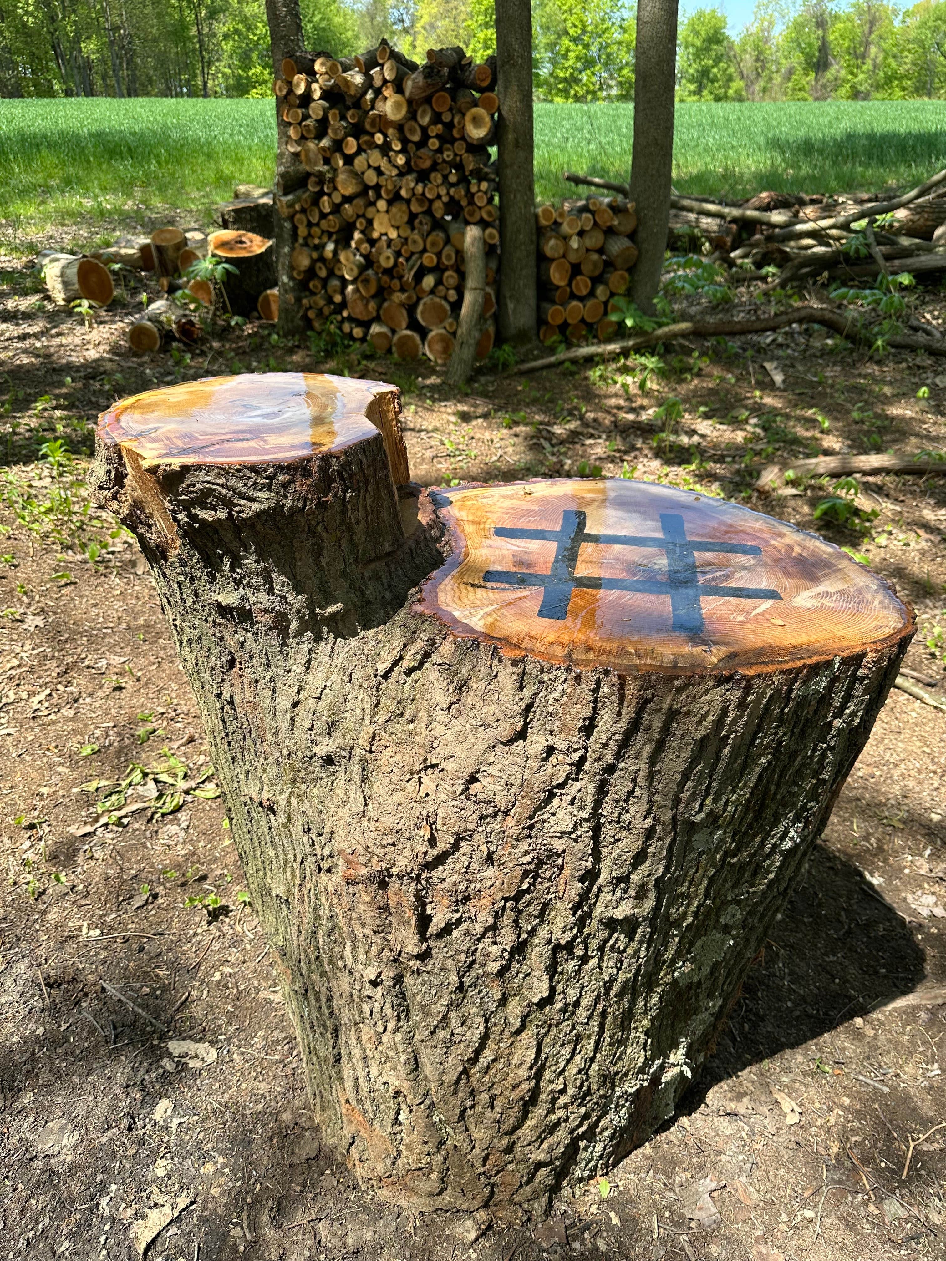 Camper-submitted photo at Ridge Top Retreat near Olanta, PA