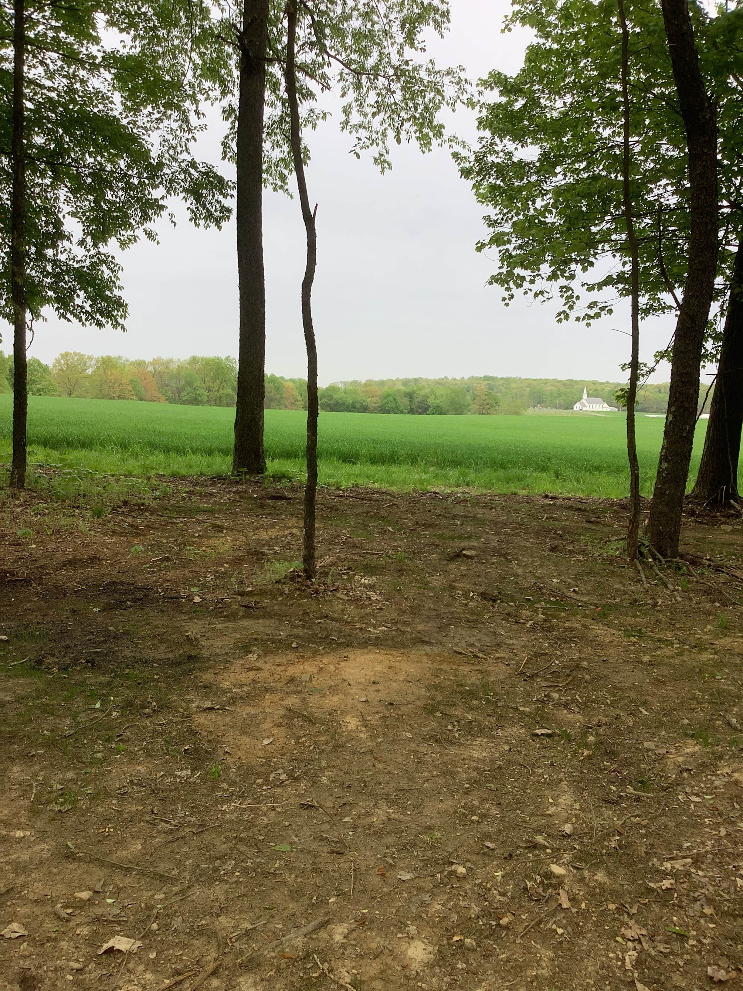 Camper-submitted photo at Ridge Top Retreat near Olanta, PA