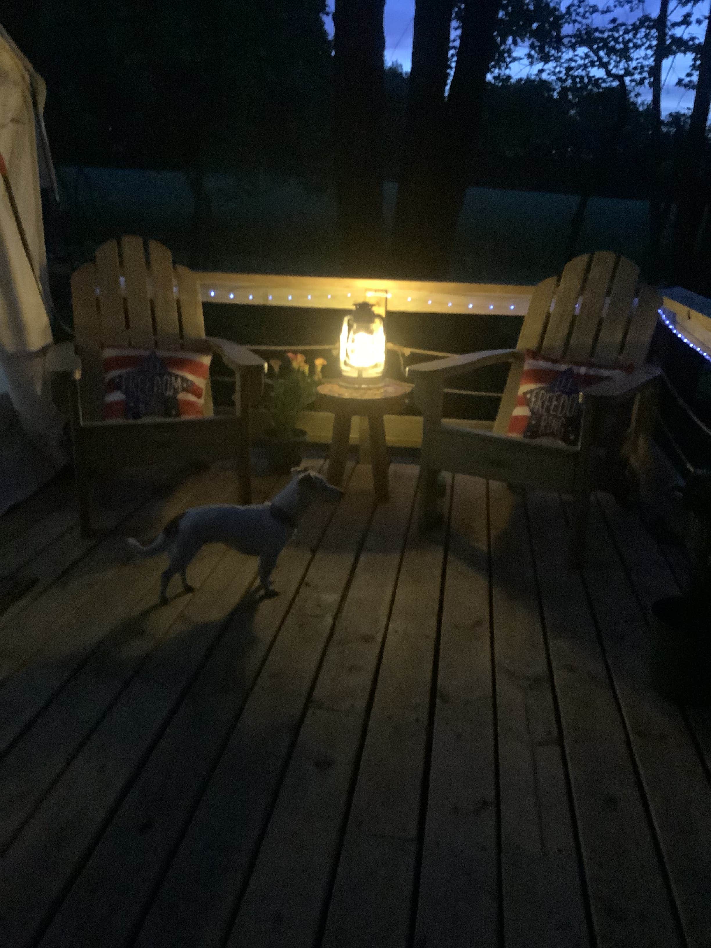 The Dyrt's photo of camping with pets at Ridge Top Retreat near Clearfield, PA