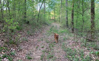 The Dyrt's photo of camping with pets at Tentrr Signature Site - Resurrection Ridge Retreat near Clarksville, TN