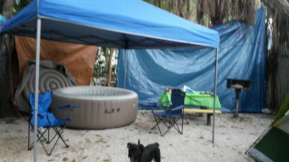 Camper submitted image from Key Largo Kampground & Marina - 3