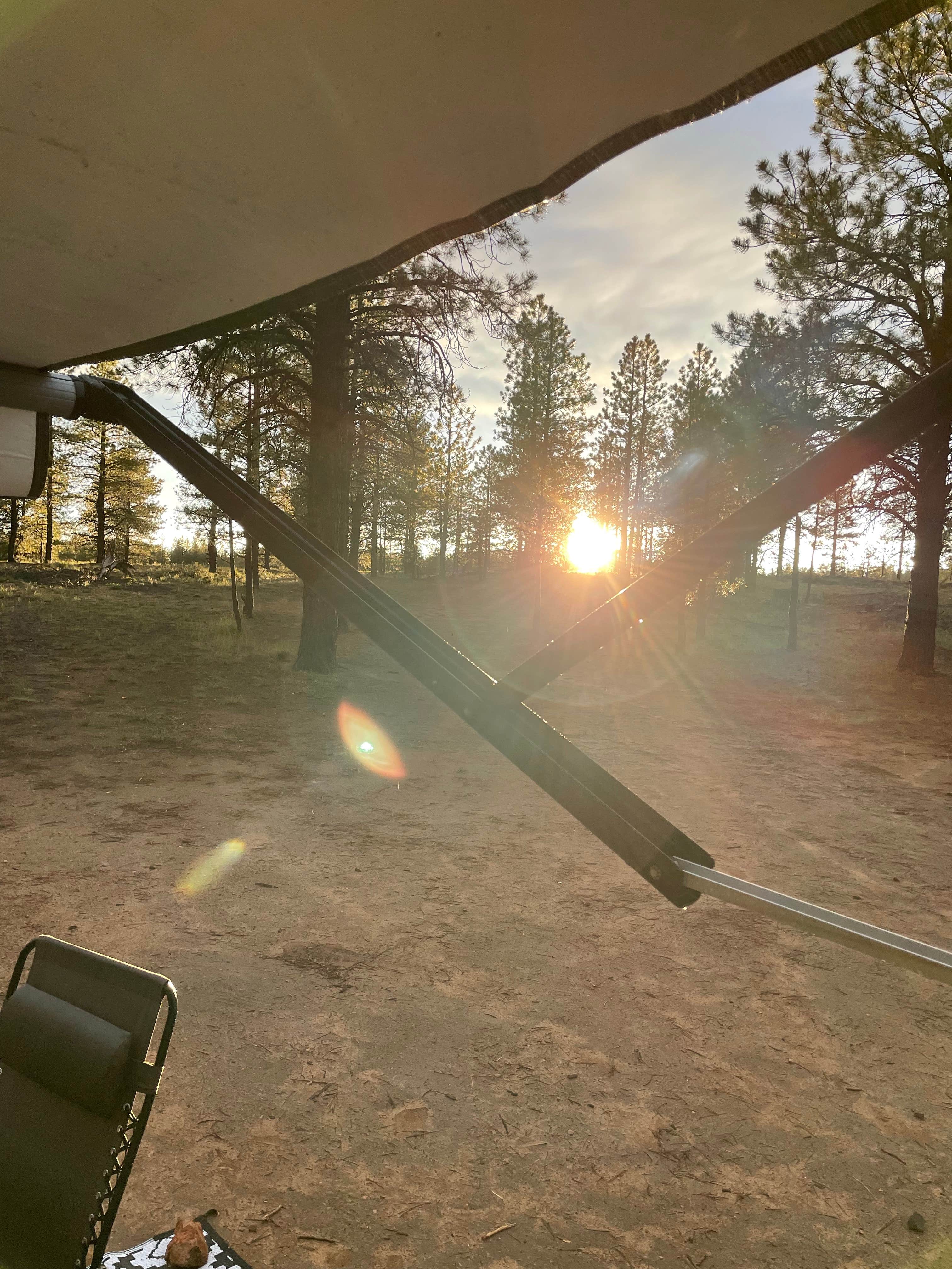 Violeta A.'s photo of a dispersed camping area at FS #117 Rd Dispersed Camping near Panguitch, UT