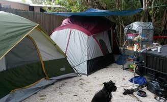 Rhonda B.'s photo of camping with pets at Key Largo Kampground & Marina near Everglades National Park