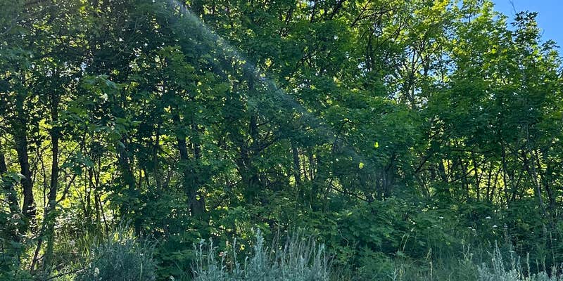 Camper submitted image from East Fork Little Bear River