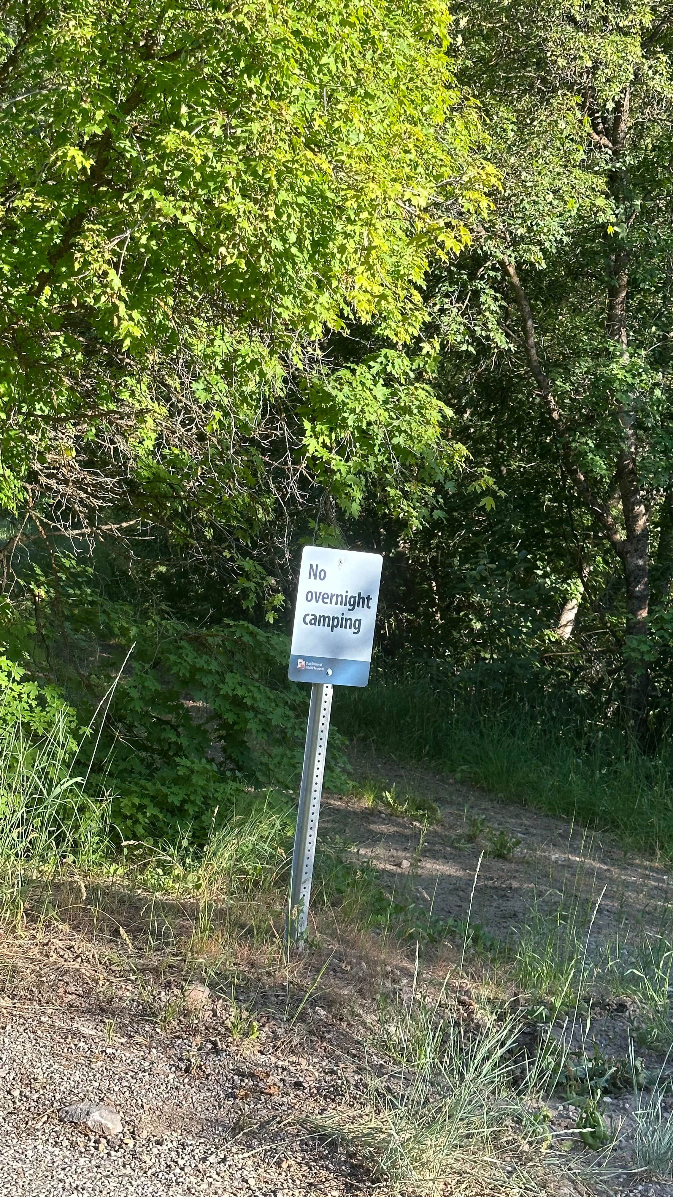 Camper-submitted photo at East Fork Little Bear River near Paradise, UT
