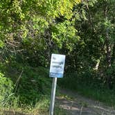 Review photo of East Fork Little Bear River by Cortlan S., July 1, 2023