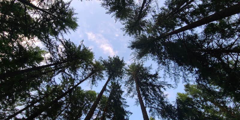 Camper submitted image from Beaver Bay Campground