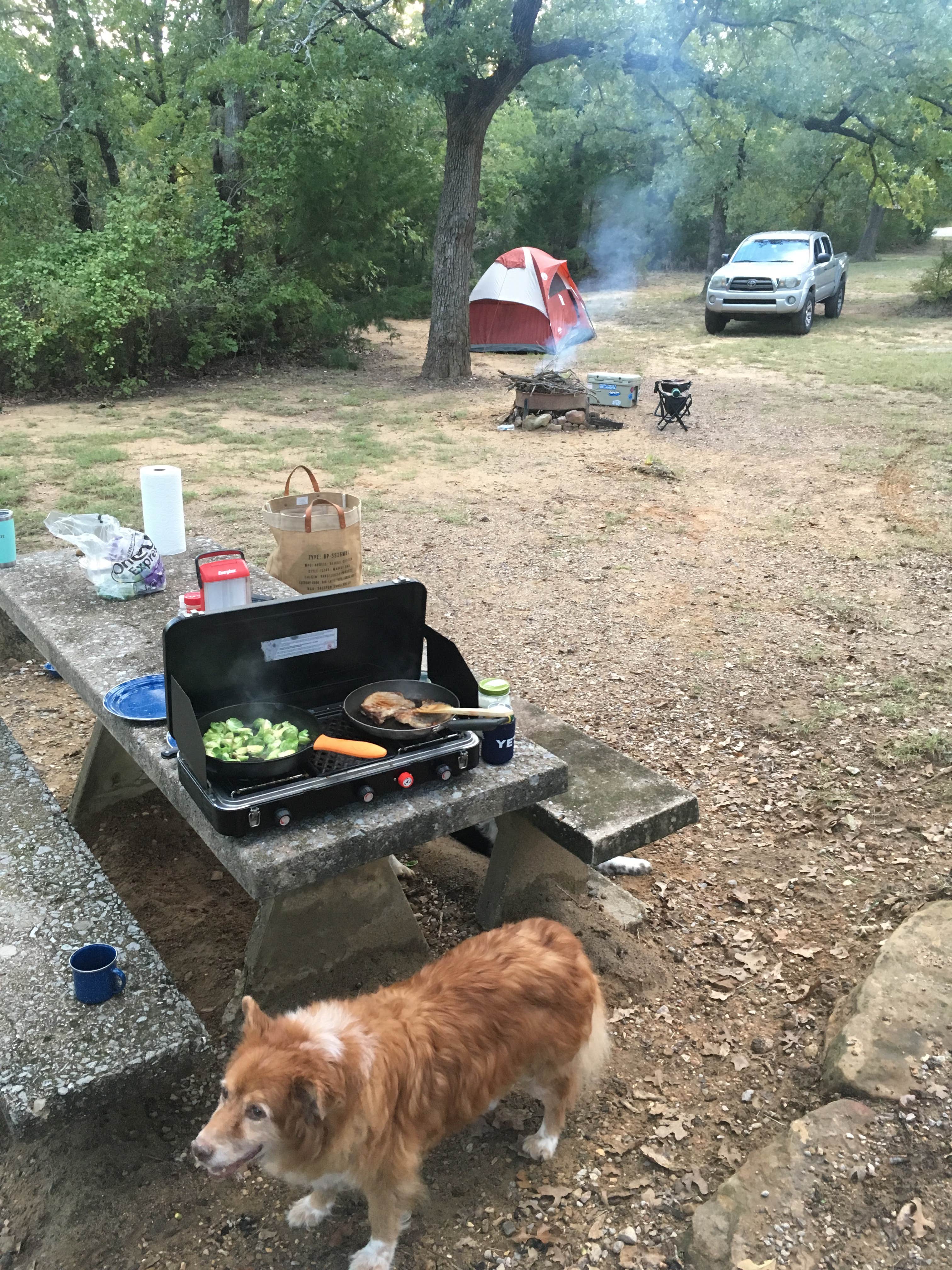 Kristen V.'s photo of camping with pets at Buzzards Roost — Lake Murray State Park near Lake Texoma