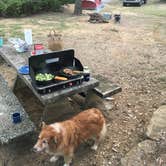 Review photo of Buzzards Roost — Lake Murray State Park by Kristen V., October 21, 2018