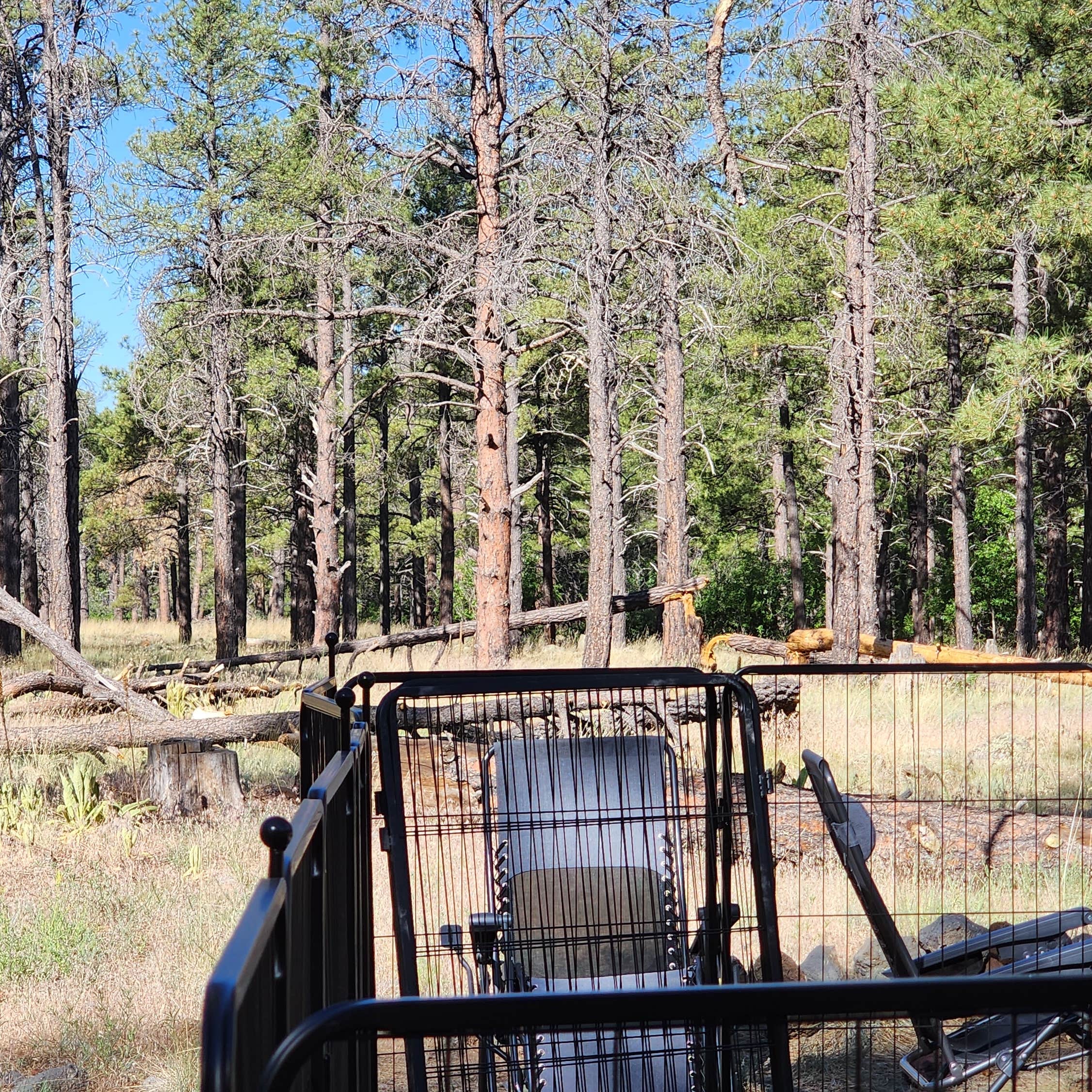 Dogtown Lake Campground And Group Williams, AZ