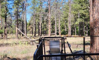 Tony B.'s photo of camping with pets at Dogtown Lake Campground And Group near Kaibab National Forest