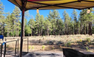 Tony B.'s photo at Dogtown Lake Campground And Group near Williams, AZ